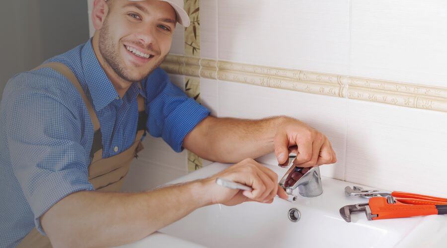 Professional Leak Detection Services services in Falmouth, MI